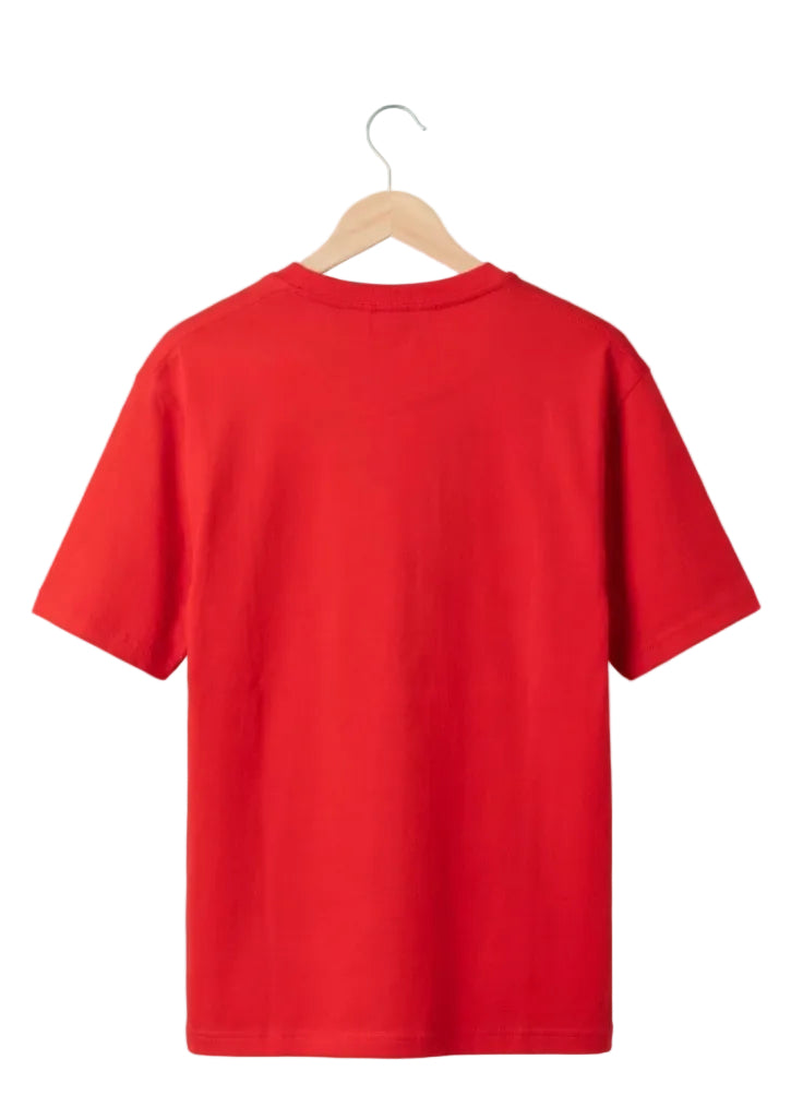 Crazy Mosquito Oversized Graphic T- Shirt